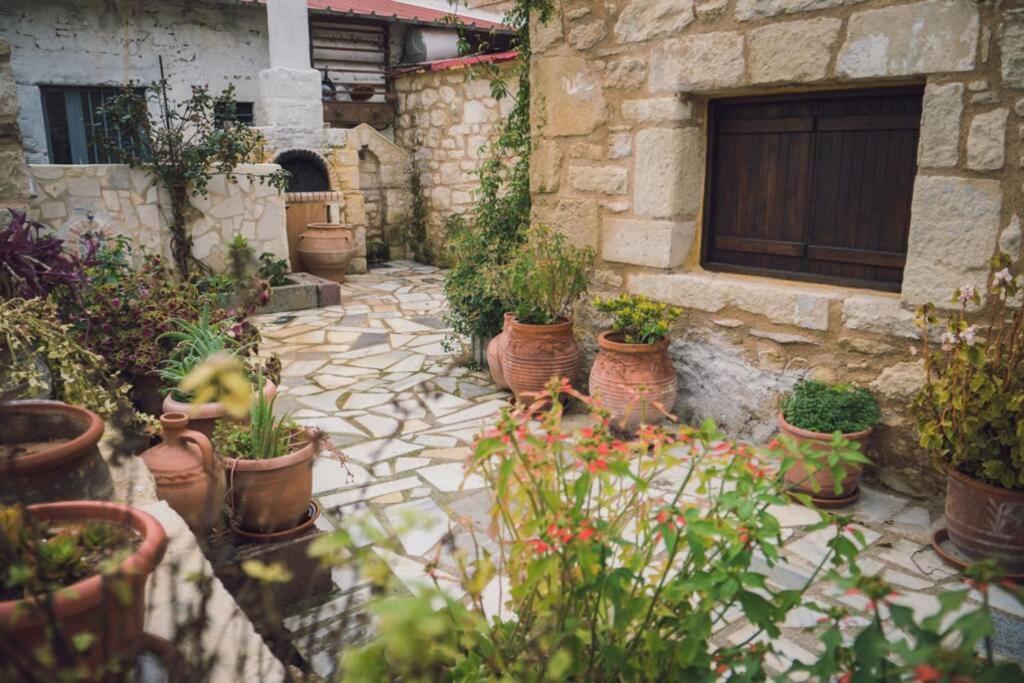The Royal Stonehouse : Sophia Villa Vasiliki  ภายนอก รูปภาพ